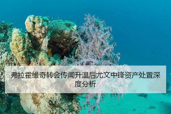 fu-la-huo-wei-qi-zhuan-hui-chuan-wen-sheng-wen-hou-you-wen-zhong-feng-zi-chan-chu-zhi-shen-du-fen-xi-2-411.jpg
